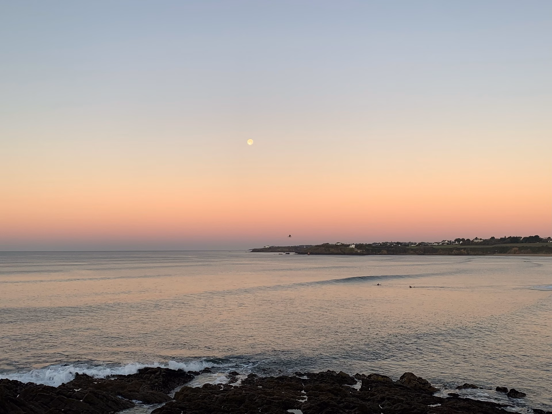 Photo de L'ilot kergaher